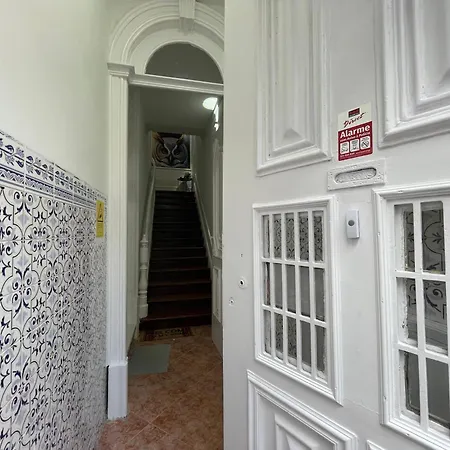 Owls Ildefonso פורטו