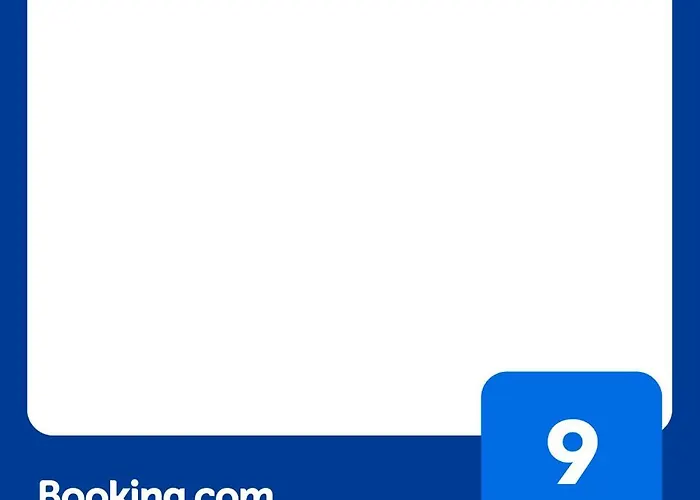 Owls Ildefonso Porto