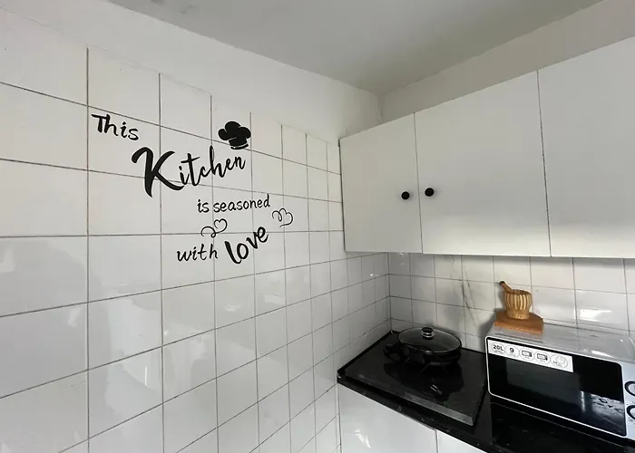 Owls Ildefonso Porto