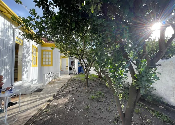 Hostel Owls Ildefonso Porto