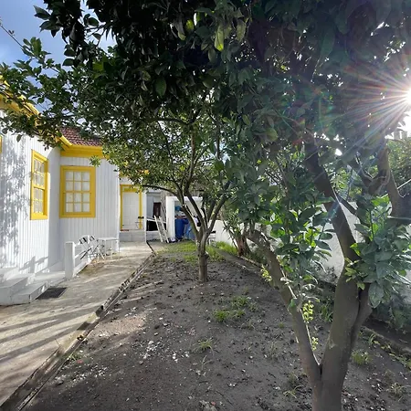 Hostel Owls Ildefonso Porto