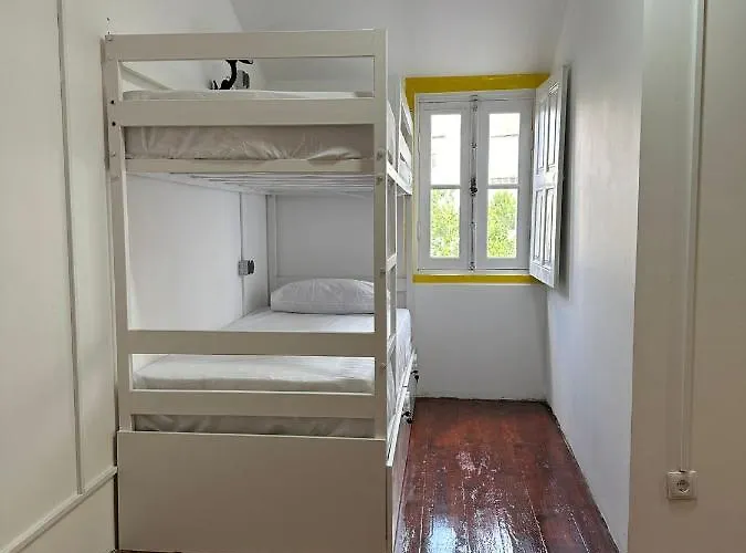 Owls Ildefonso Vandrarhem Oporto