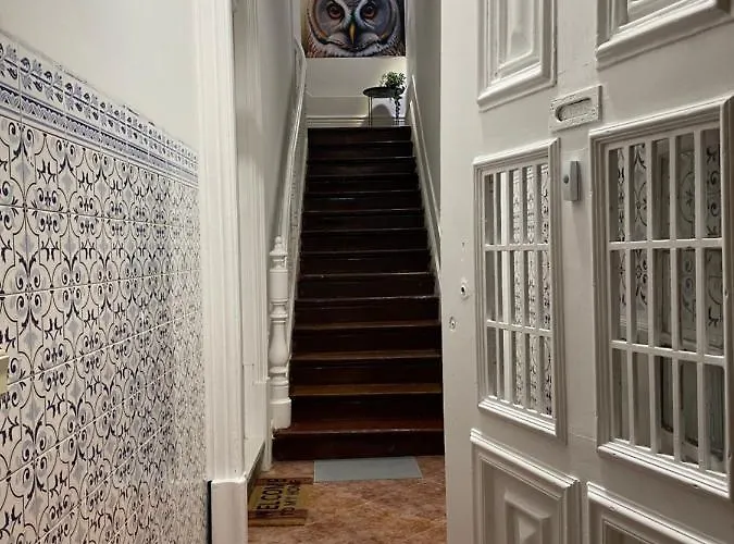 Owls Ildefonso * Porto