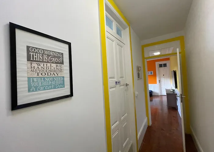 Owls Ildefonso Porto