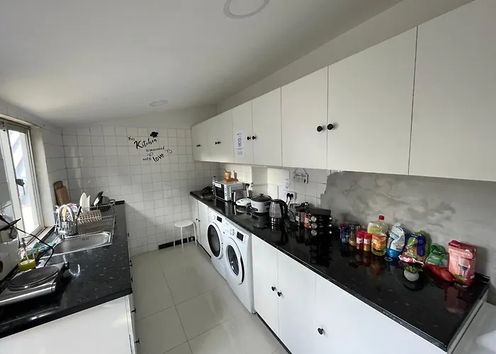 Owls Ildefonso Oporto