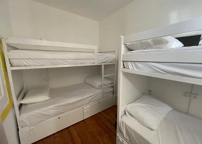 Hostel Owls Ildefonso Porto