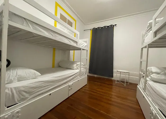 Owls Ildefonso Oporto