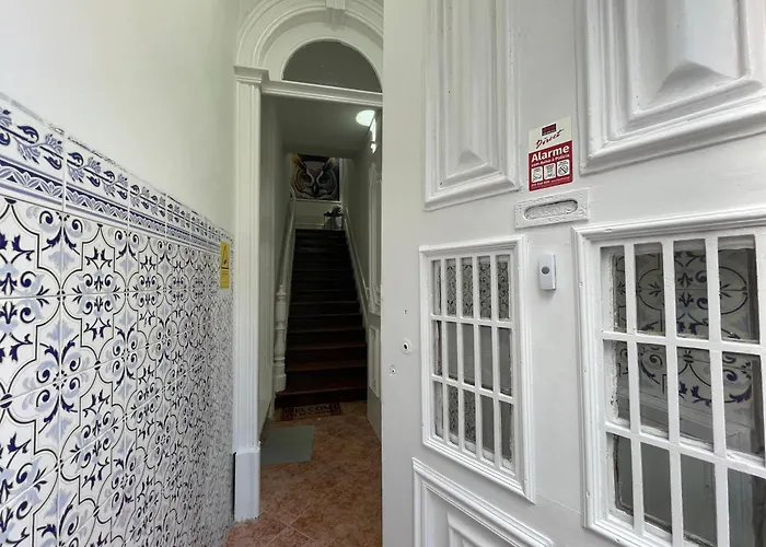 Owls Ildefonso ポルト