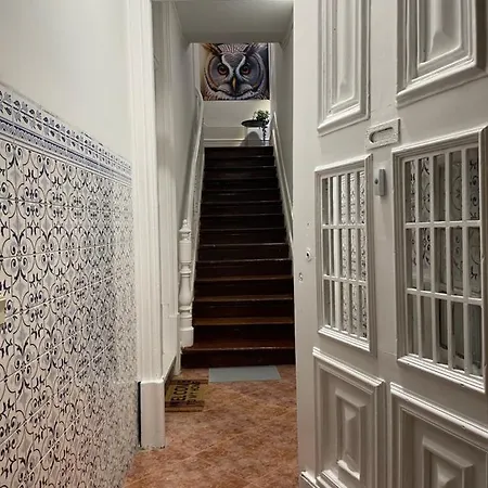 Owls Ildefonso * 波尔图