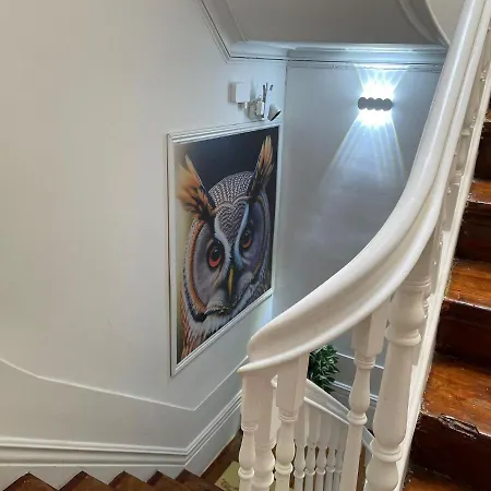 Hostel Owls Ildefonso *