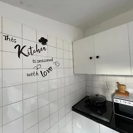 Owls Ildefonso Porto