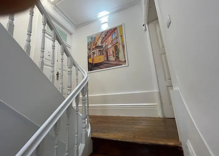 Owls Ildefonso بيت شباب *